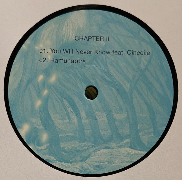 The Book Of Wisdom (2xVINYL) |