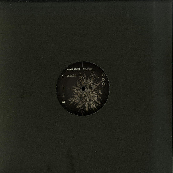 What You Need (Kölsch Remix)(VINYL) | Mint (M) Mint (M)