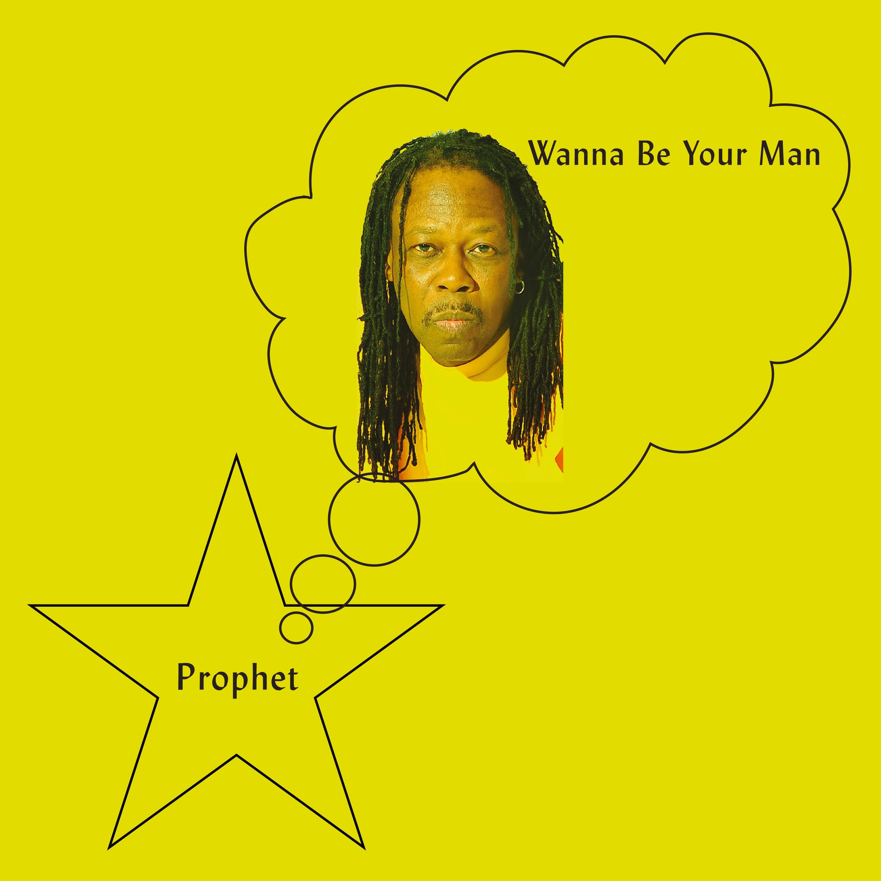 Wanna Be Your Man Vinyl Record