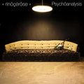 RINOCEROSE Psychoanalysis Vinyl Record