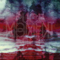 Puce Moment Vinyl Record