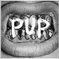 Pup Vinyl Record