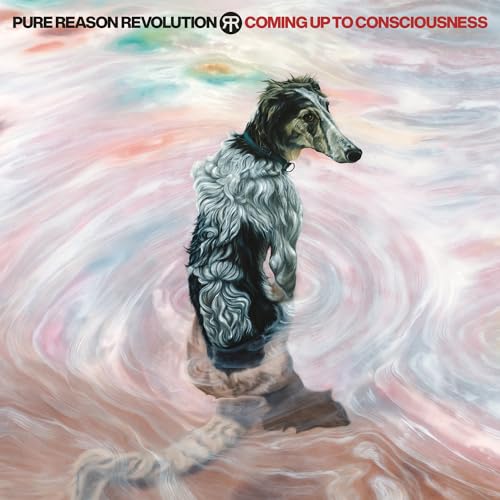 Coming Up To Consciousness Music CD