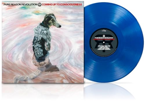 Coming Up To Consciousness Vinyl Record