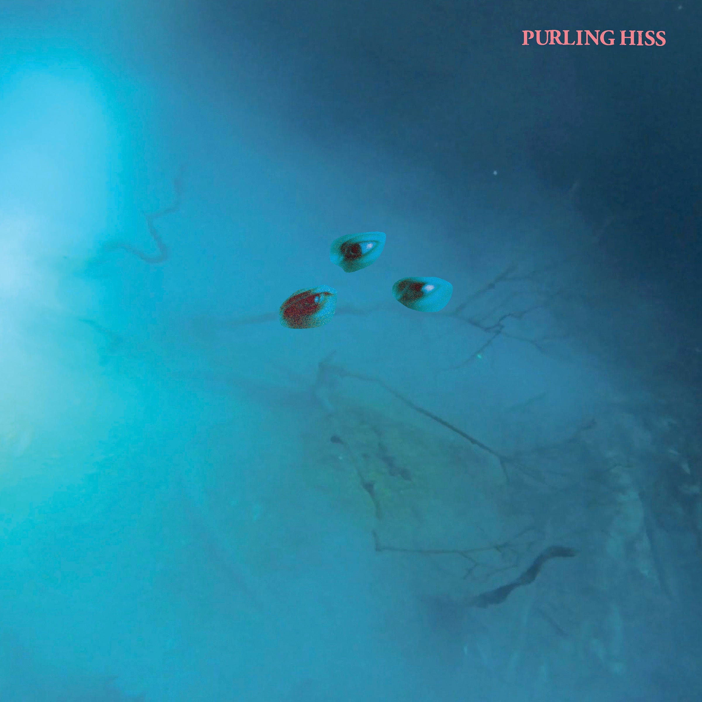 High Bias Music CD
