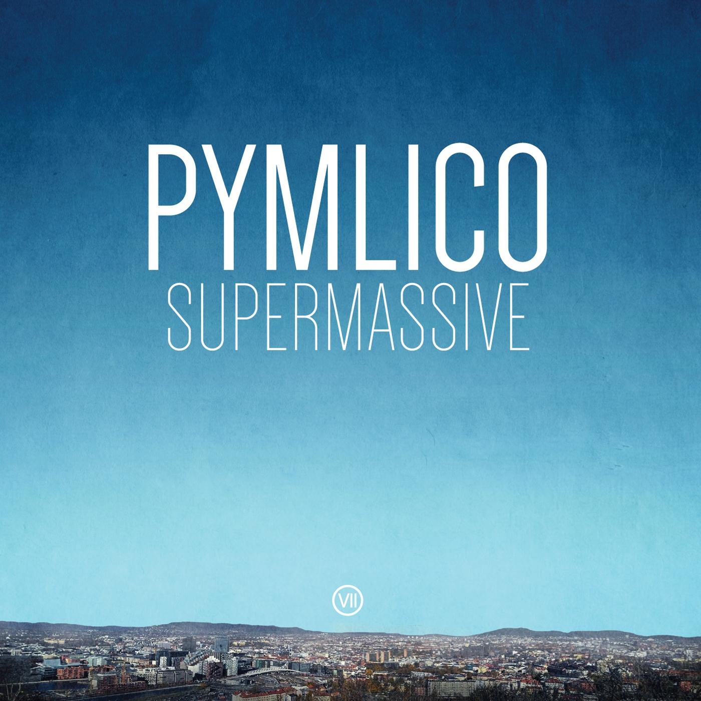 Supermassive Vinyl Record