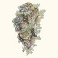 Monuments to Impermanence Music CD