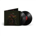 In Times New Roman... Vinyl Record