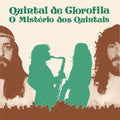 O Misterio dos Quintais Vinyl Record