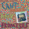 Can't Make Any Promises Vinyl Record