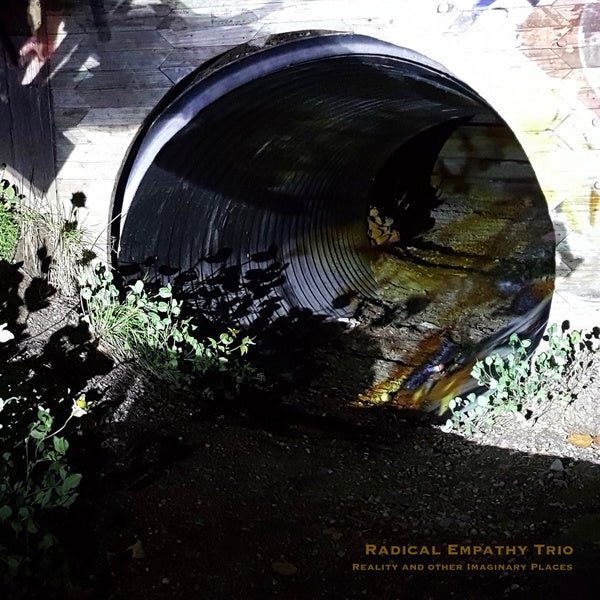 Reality and Other Imaginary Places Music CD