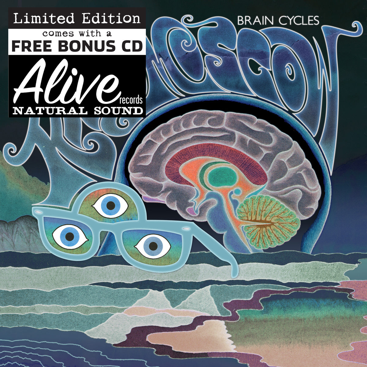 Brain Cycles LP Vinyl Record