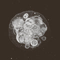 Moon Field Music CD