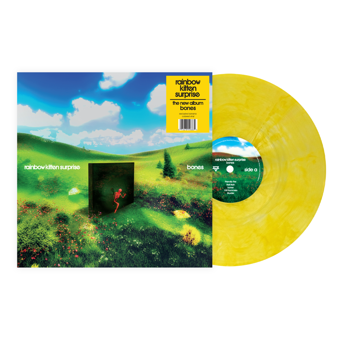 Rainbow Kitten Surprise - Bones [Indie Exclusive] (BANANA VINYL) | Mint (M) Mint (M)