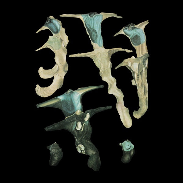 Jellyfish Reproduce Black Magic Vinyl Record