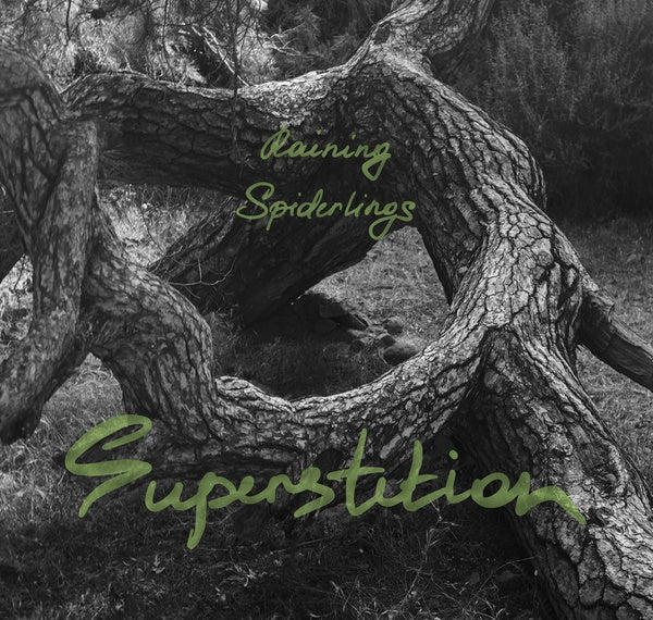 Superstition Music CD