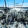 Parallel Systems Music CD