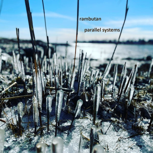 Parallel Systems Music CD