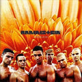 Rammstein - Herzeleid (2LP Ltd 180g Vinyl) | Mint (M) Mint (M)