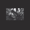 R.A.N. - Seb-i Yelda Vinyl Record