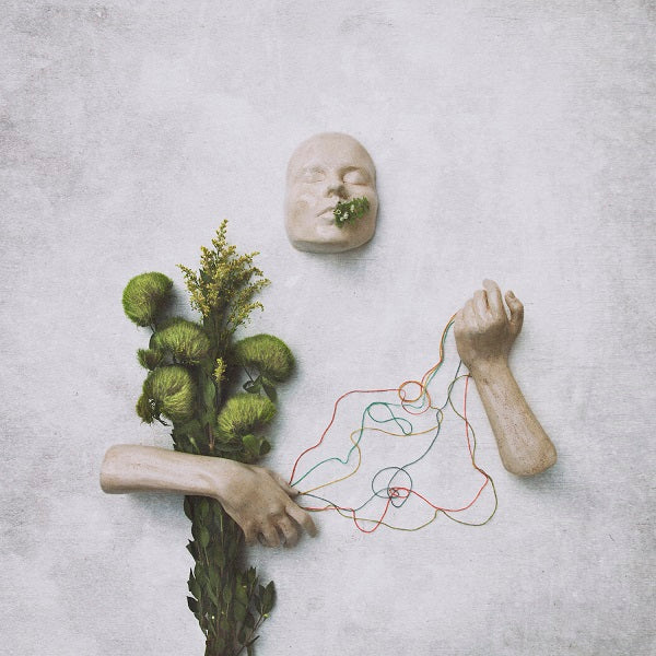 A Mouth May Grow Vinyl Record