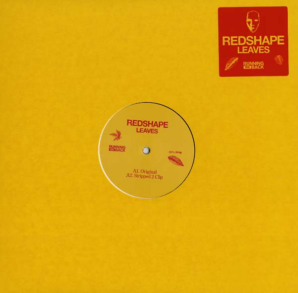 Leaves Vinyl Record