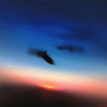 Resavoir ("DUSK CLOUD" VINYL) Vinyl Record