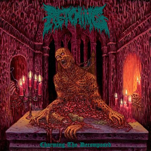 Charming The Decomposed Music CD