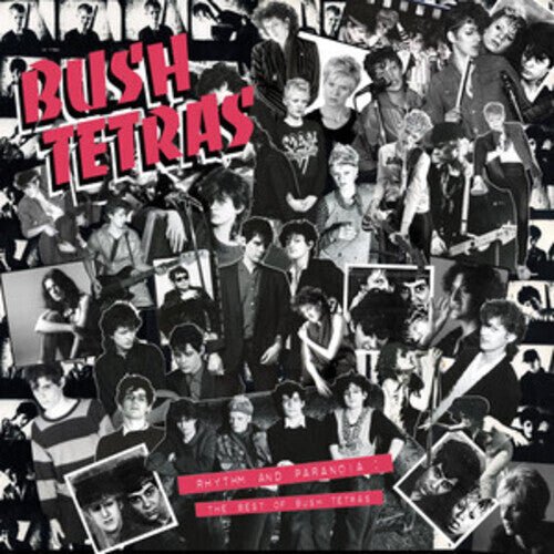 Rhythm & Paranoia: The Best of Bush Tetras (3LP, Book) Vinyl Record