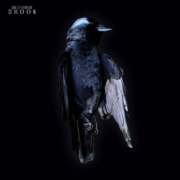 Shook Music CD