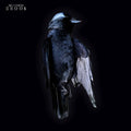 Shook Vinyl Record
