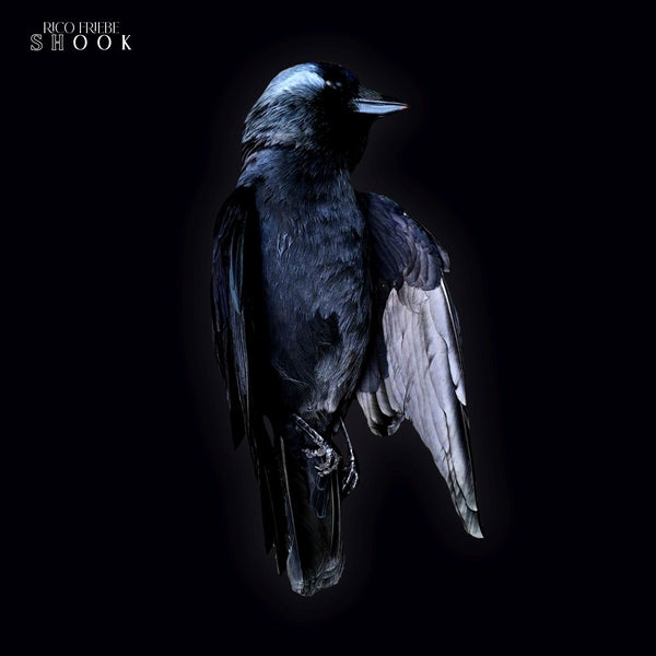 Shook Vinyl Record
