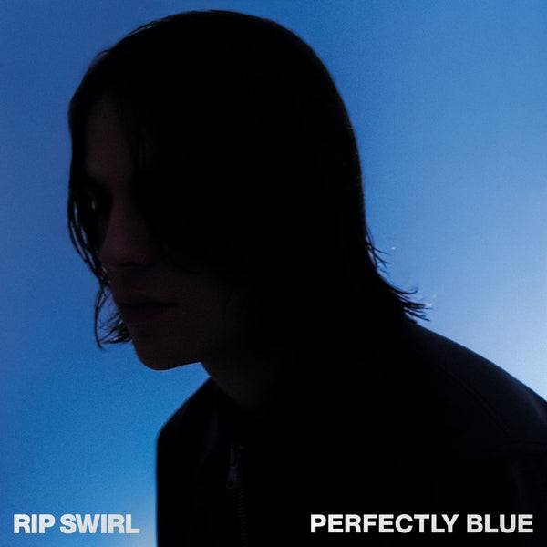 Perfectly Blue Vinyl Record