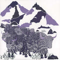Non Meters Volume 1 Music CD