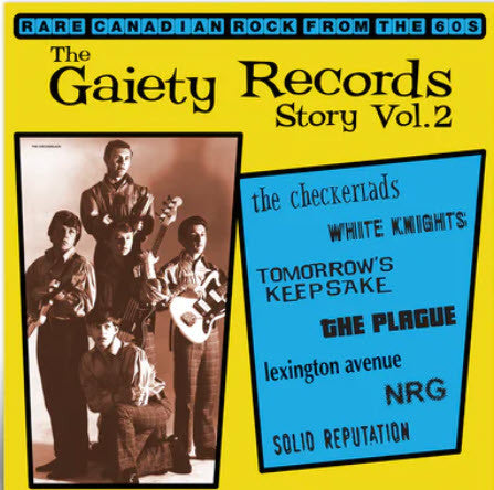 Various - The Gaiety Record Story Vol. 2 (VINYL) | Mint (M) Mint (M)