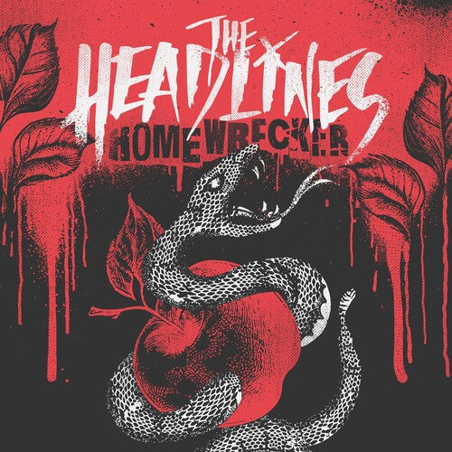 (PRE-ORDER 12/19/2025) Homewrecker - Black/ White Marble Swirl (180 Gram Vinyl, Gatefold LP Jacket) |