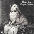 (PRE-ORDER 12/19/2025) Prodigal Dreamer (VINYL) |