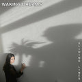Waking Dreams - Sliding Lines |