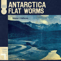 Flat Worms - Antarctica |