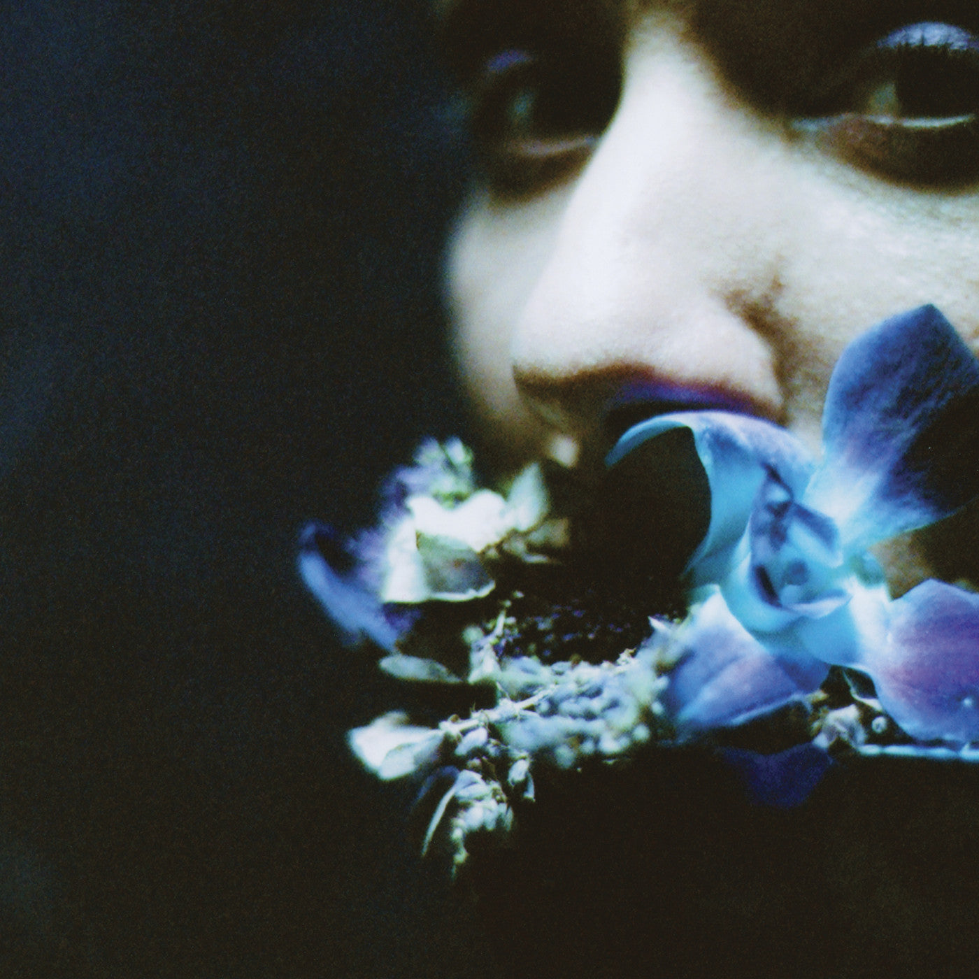 Circuit des Yeux - Reaching For Indigo |