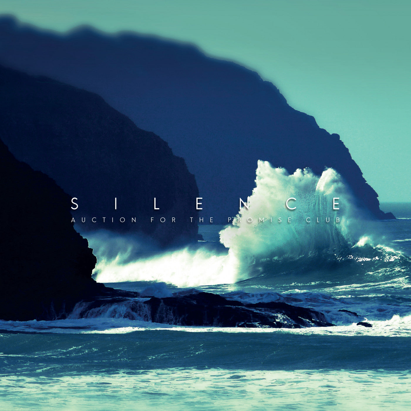 Auction For The Promise Club - Silence |