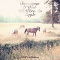 Bill Callahan - Sometimes I Wish We Were an Eagle (VINYL) | Mint (M) Mint (M)