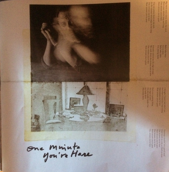 Letter To You (2xVINYL) | Mint (M) Mint (M)
