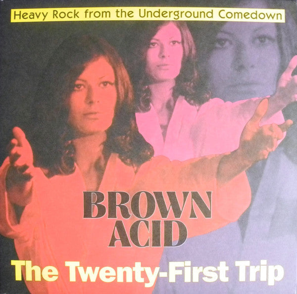 Various - Brown Acid: The Twenty First Trip (Heavy Rock From The Underground Comedown)(VINYL) |