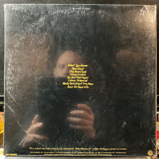 Lynyrd Skynyrd - Street Survivors (VINYL) |