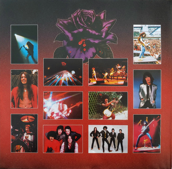 Black Rose (A Rock Legend)(VINYL) |