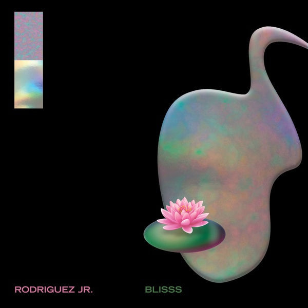 Blisss Vinyl Record