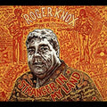 Stranger In My Land Music CD