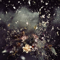 Until Silence Music CD