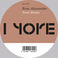 Soul Roots Vinyl Record